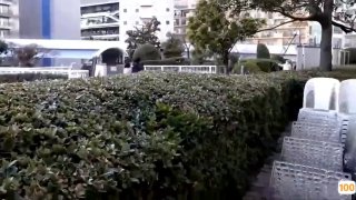 《年轻的妈妈1》免费在线观看-犯罪
